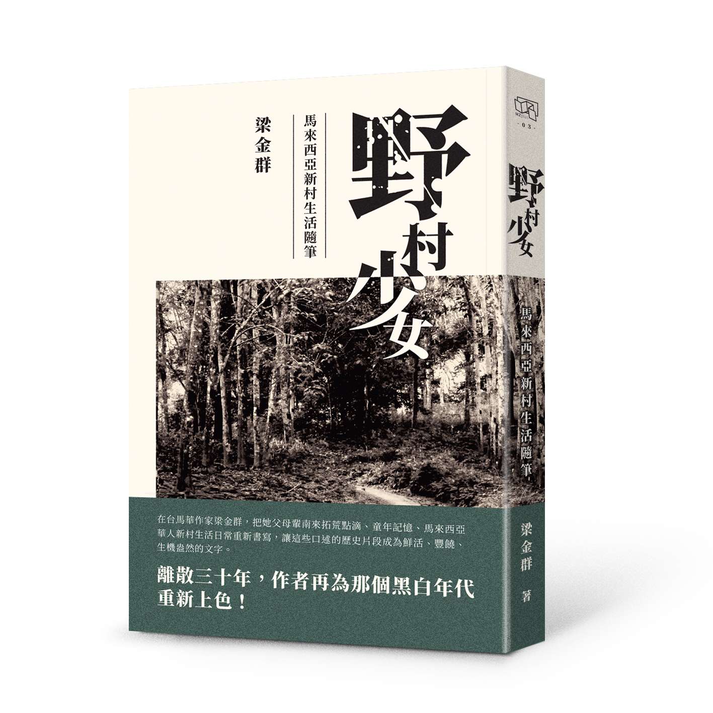 野村少女:马来西亚新村生活随笔