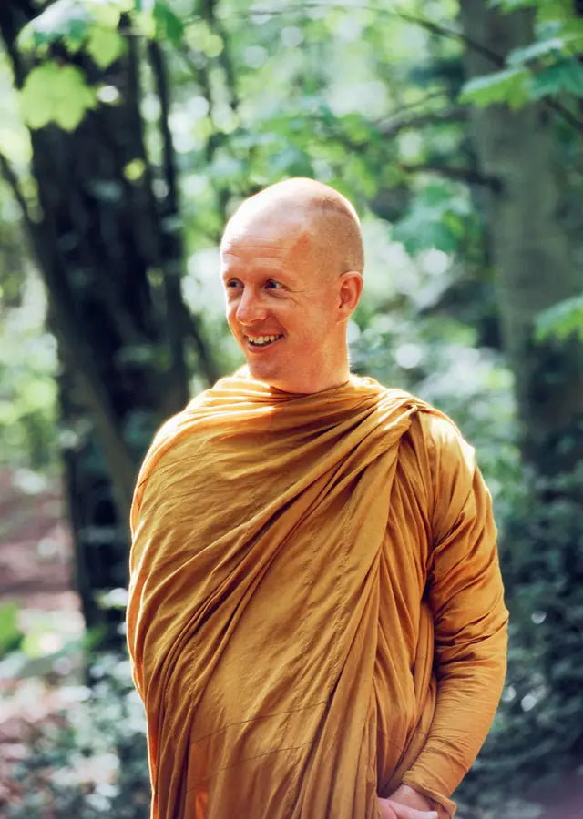 我可能错了: 森林智者的最后一堂人生课