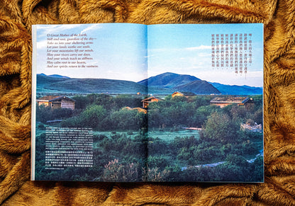 LOST Issue Eleven