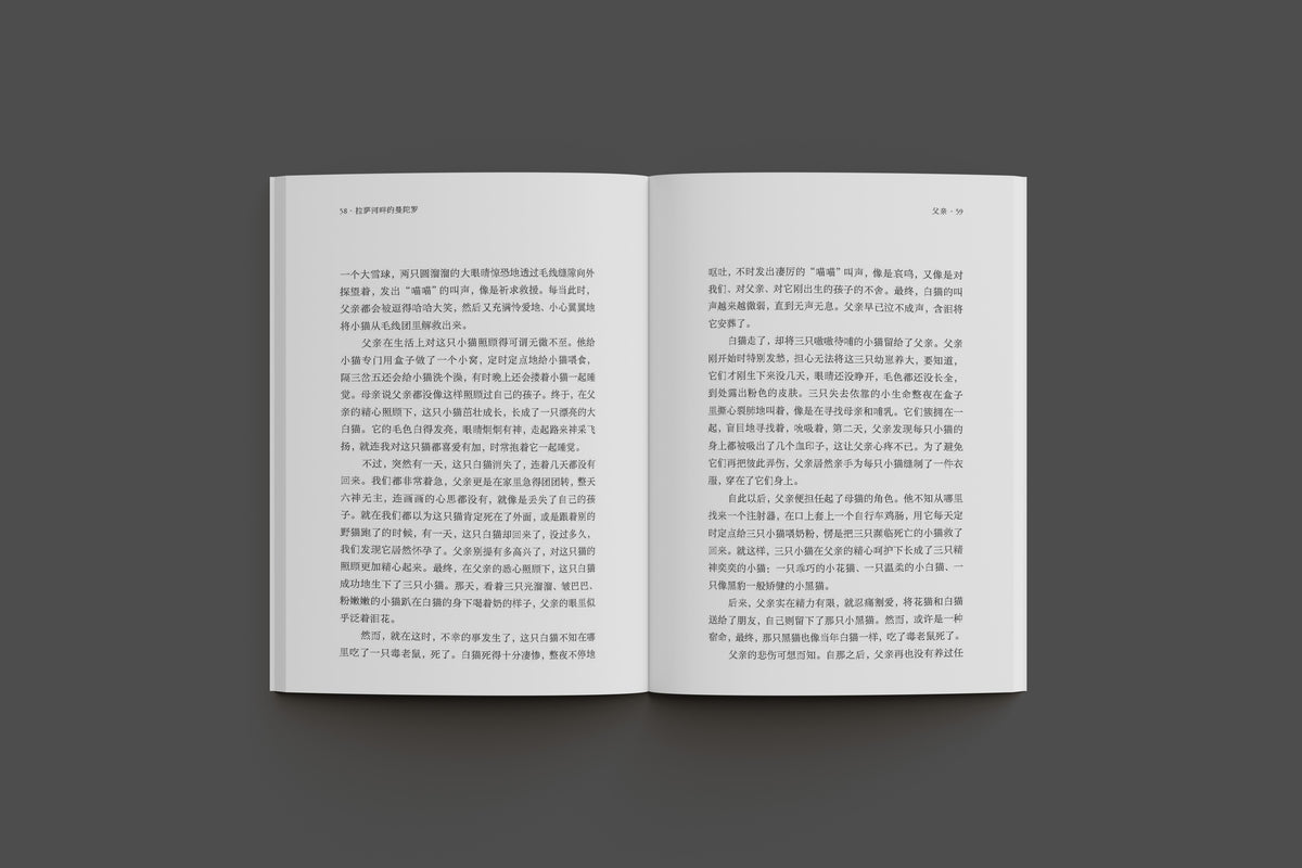 拉萨河畔的曼陀罗 【预购】