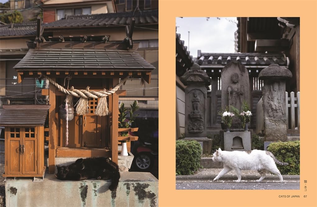 Neko: Cats of Japan