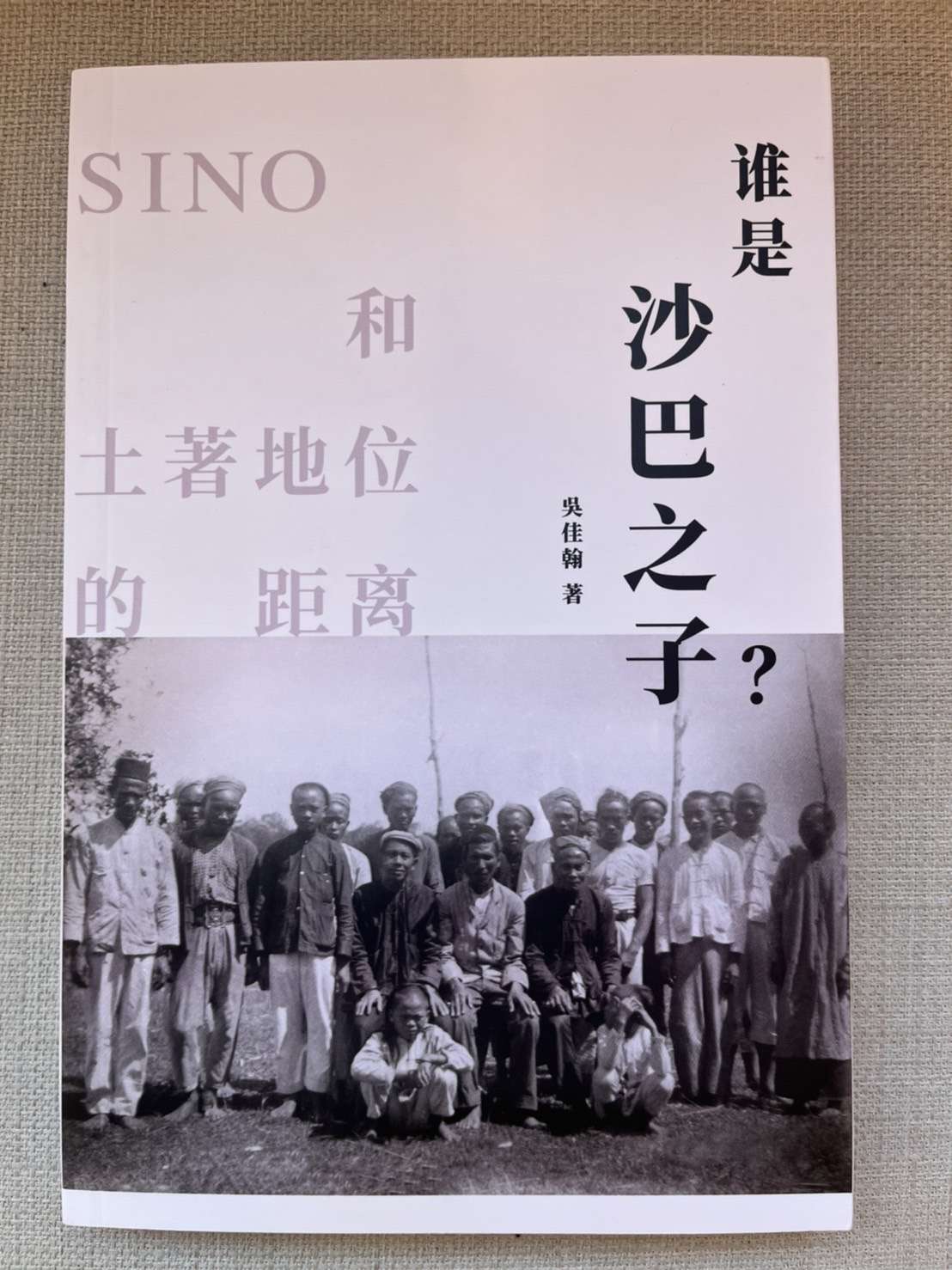 谁是“沙巴之子”？ : Sino与土著地位的距离