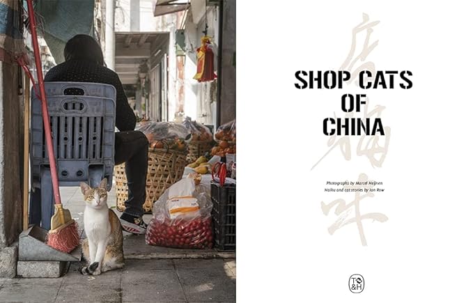 Shop Cats of China
