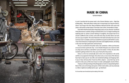 Shop Cats of China