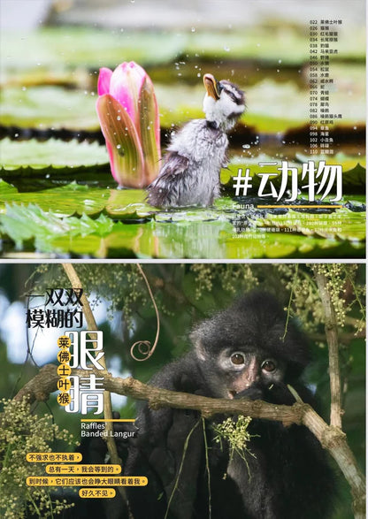野邻居